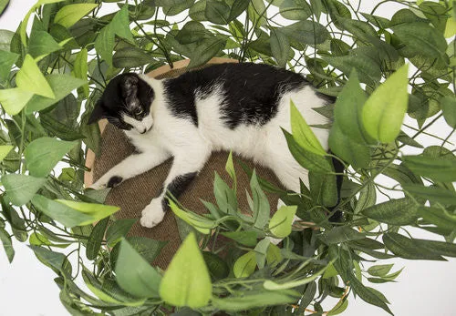 CatHaven™ Single Tier Cat Tree - Square Base