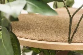 CatHaven™ Single Tier Cat Tree - Square Base