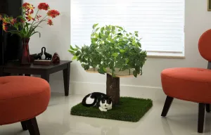CatHaven™ Single Tier Cat Tree - Square Base