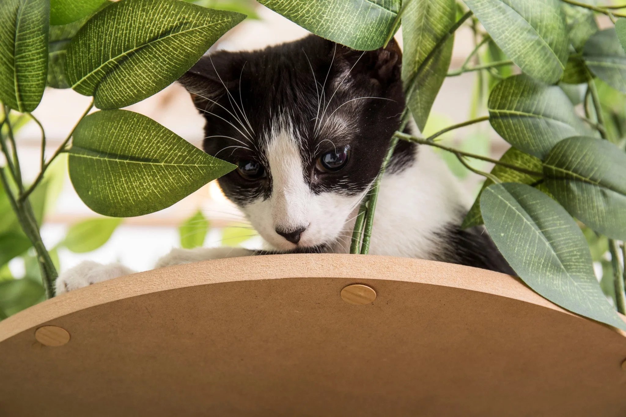 CatHaven™ Single Tier Cat Tree - Square Base