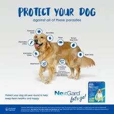 NEXGARD SPECTRA PURPLE chews for Medium Dogs 15.1~30kg - Flea & Tick Protection, Heartworm & Worming