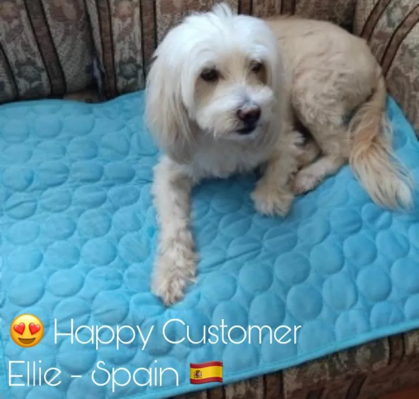 Pet Cooling Mats