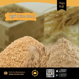  Rice Bran 1(ton)
