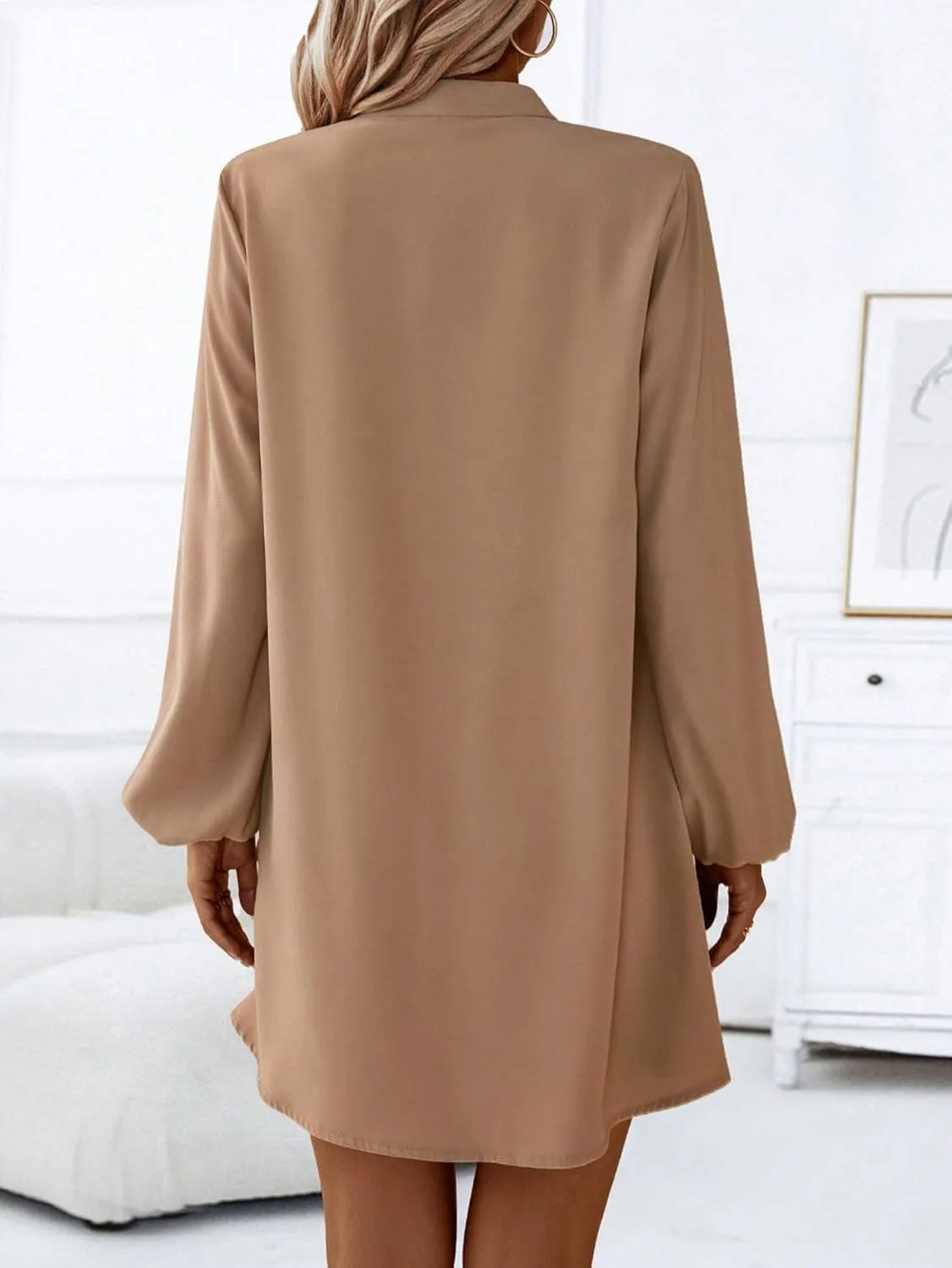 SweatyRocks Women's V Neck Pullover Shirt Dress A Line Long Lantern Sleeve Flared Loose Mini Dresses