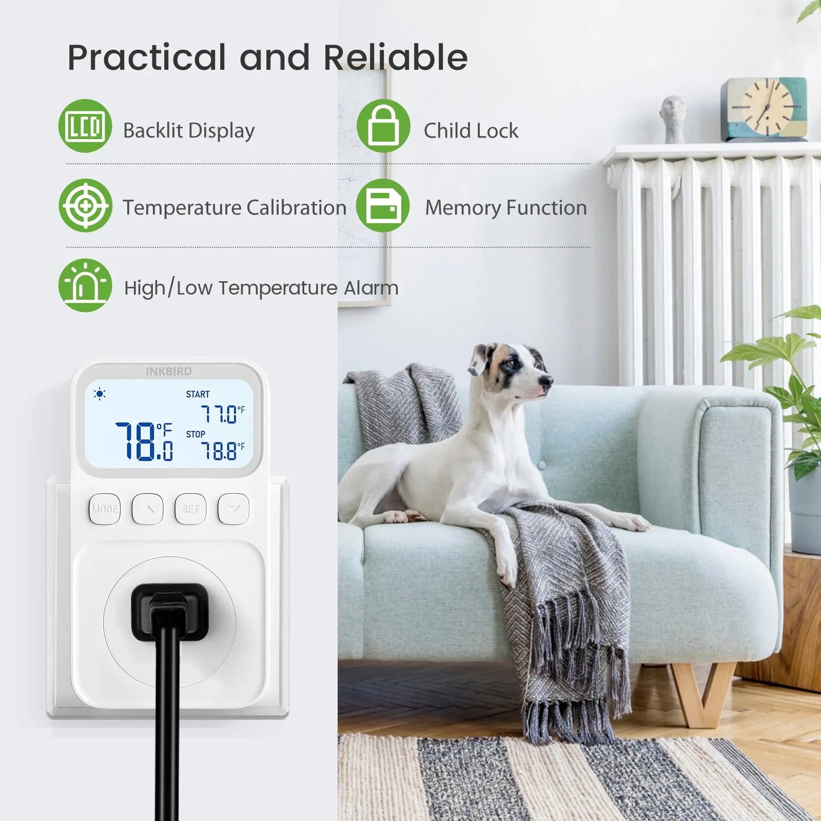 Temperature Controller C226T