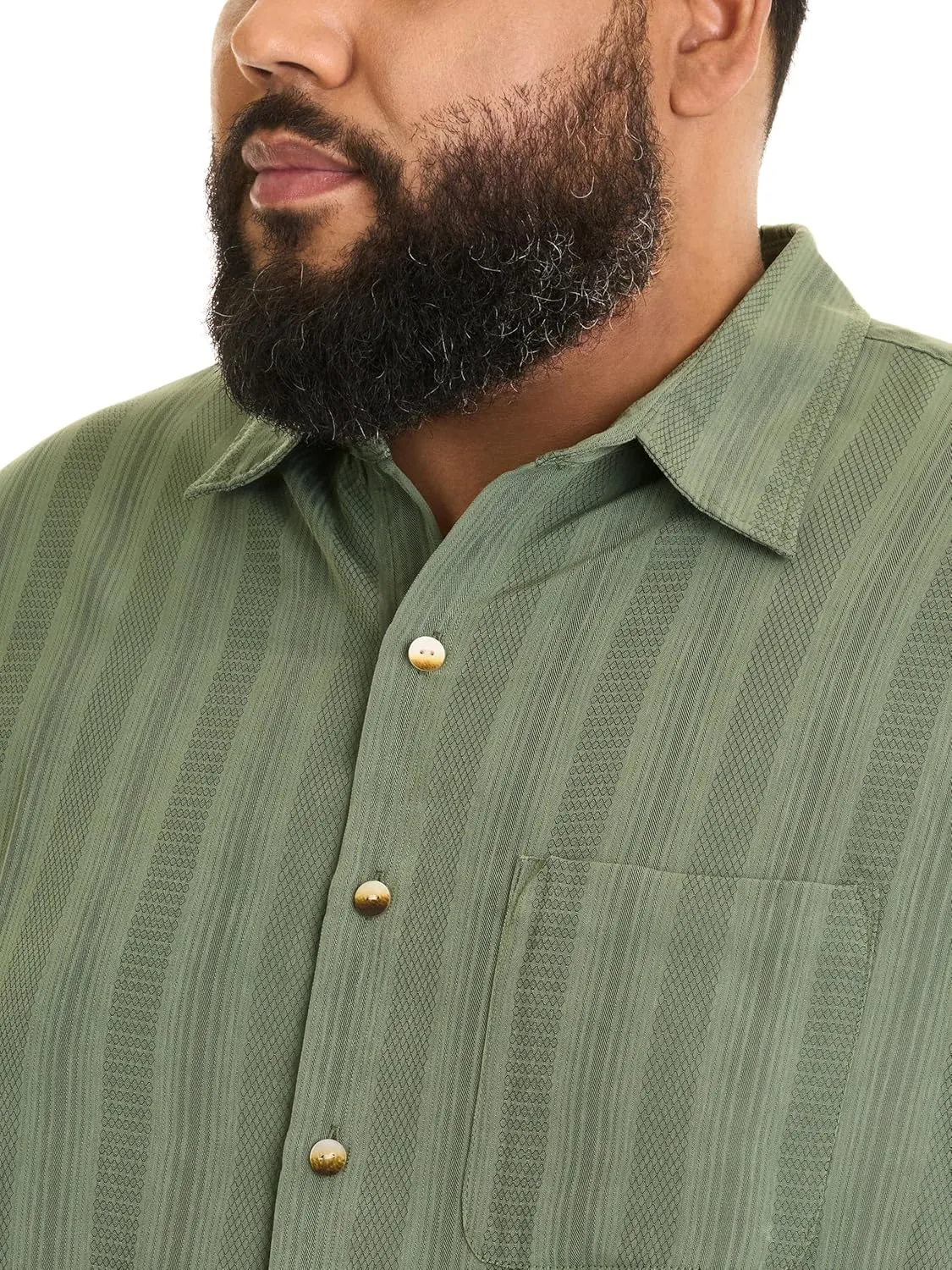 Van Heusen Men's Big and Tall Air Short Sleeve Button Down Poly Rayon Stripe Shirt