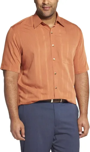 Van Heusen Men's Big and Tall Air Short Sleeve Button Down Poly Rayon Stripe Shirt